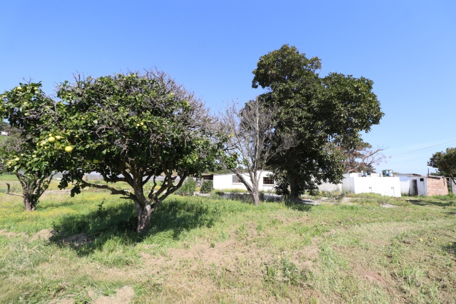 Commercial Property for Sale in Chelsea Eastern Cape